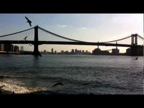 Video: 8 Bare De Scufundare Din Manhattan 