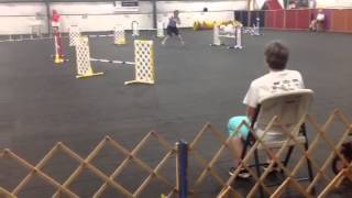Pixie AKC JWW 8/8/14