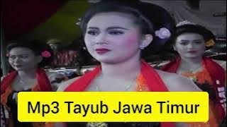 Tayub MP3 Gending Jawa Timur Liyer-Liyer