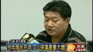 981014石碇冬茶比賽 茶農熱情響應