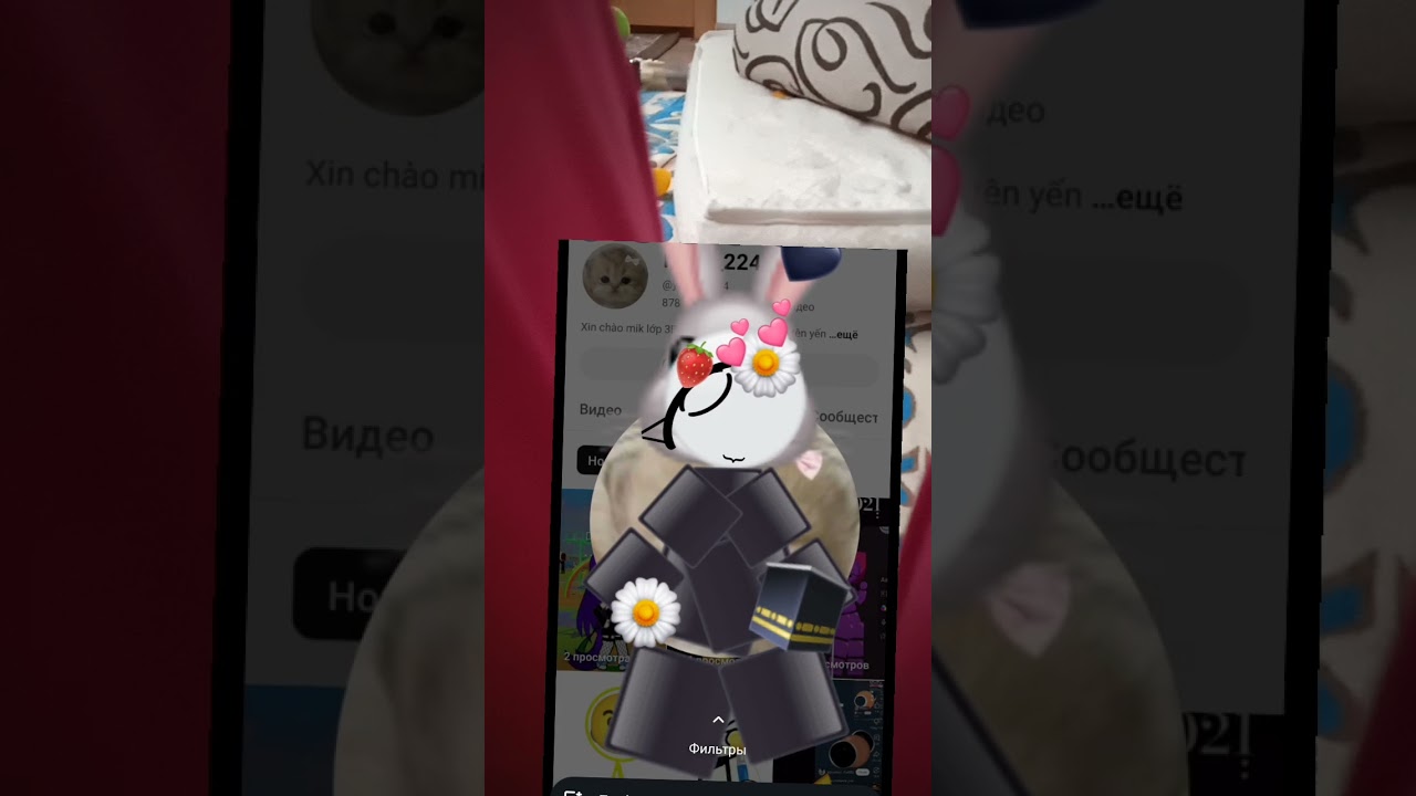 25 декабря 2024 г.