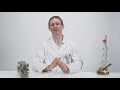 Ask An Expert | A PhD Chemist Answers The Internet's Strangest Weed Questions