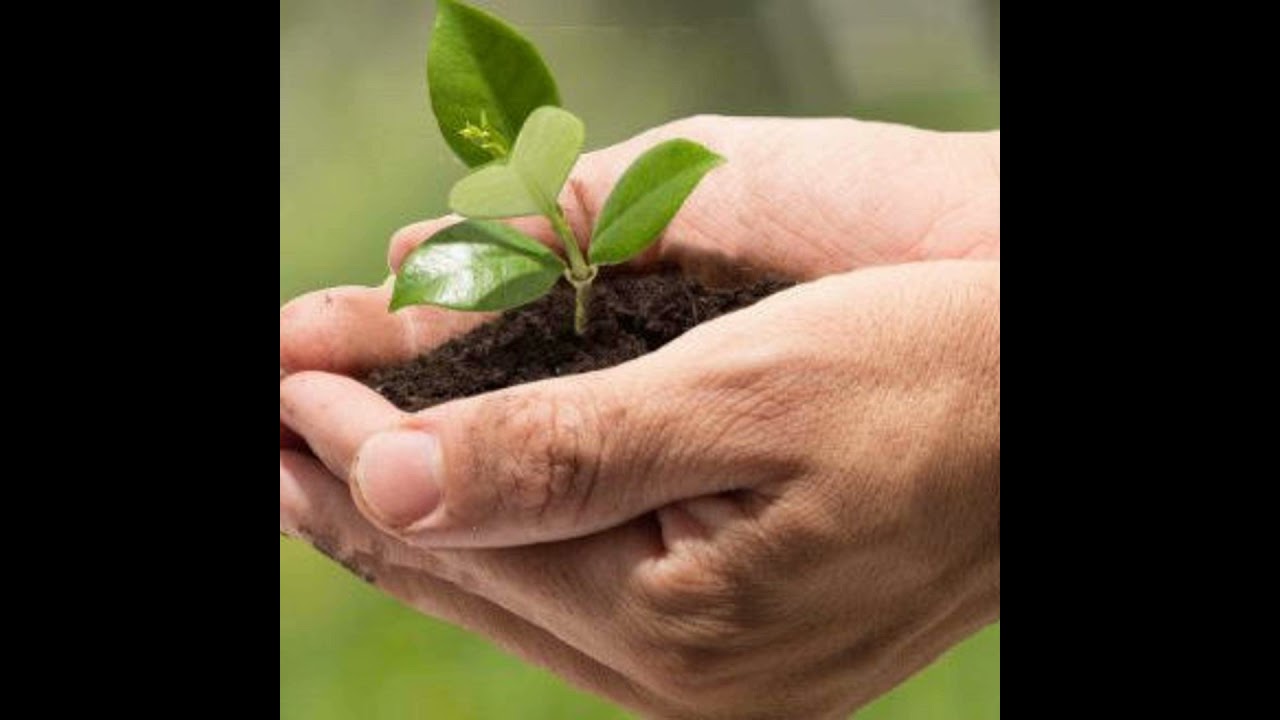 Succession Planning for Family Farms