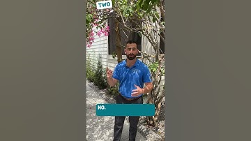 This Appraisal Information Is NEED-TO-KNOW 👀 #shorts