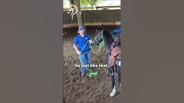 Quick Tips To Gain Confidence With Your Horse! | The Horse Guru-Michael Gascon