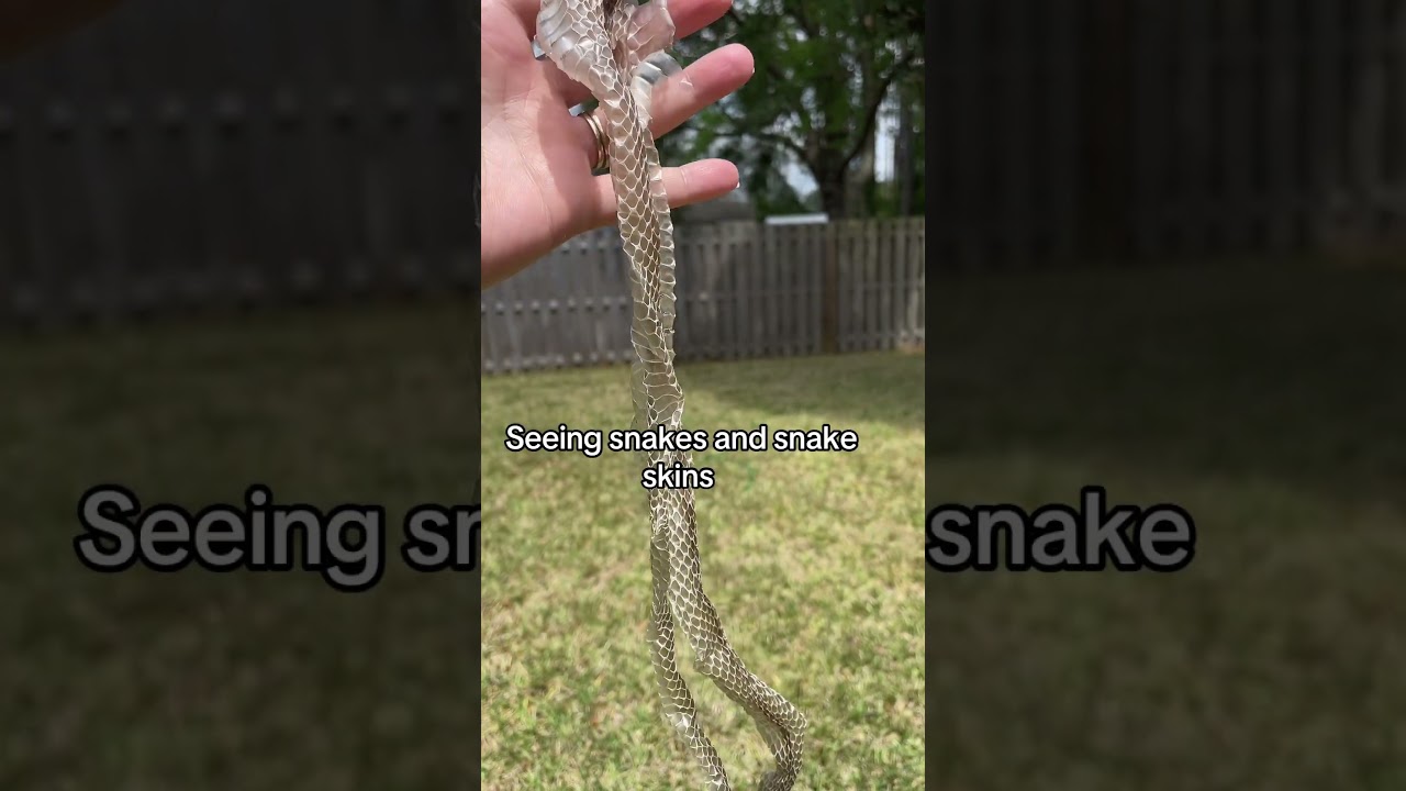 Would you like a Part 2? 