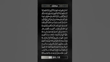 سورة الأحزاب - 09 - الآيات من 55 إلى 62 - بصوت فضيلة الشيخ - سعيد يوسف شعلان