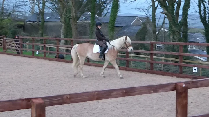 Ann Atkinson, Windwchter, Intro A (2008), 8 Januar...
