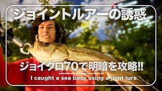 ジョイクロ70で明暗シーバスを釣る