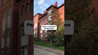 ГДЕ открыть СУШИ БАР? (Часть 2)  #франшиза #бизнес #роллы #сушиlove #shorts