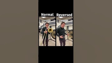 Normal vs Reversed @trombonetimo