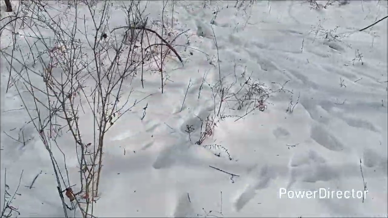 Snow is still to deep for camping!