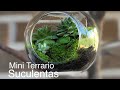 Cómo hacer un mini terrario suculentas (suculents terrarium)