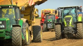 Kartoffelernte | ROPA & GRIMME, JOHN DEERE 6R, 7R | CLAAS Axion 830 | Agrar - Impressionen