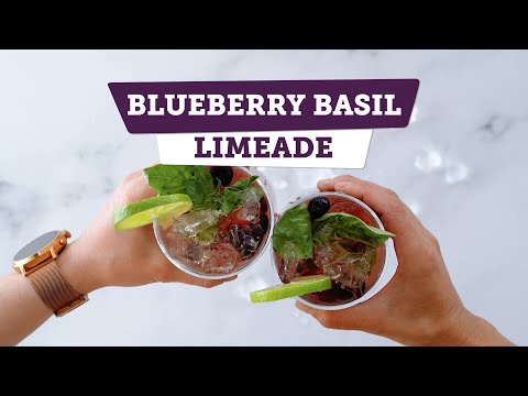 Blueberry Basil Limeade Mocktail