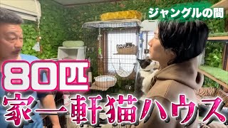 80匹 システム自動化 猫ハウス ジョーブログ 切り抜き