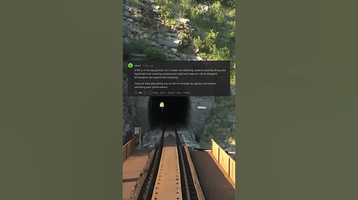 LPT If your employer puts you on a pip personal improvement plan Start applying f