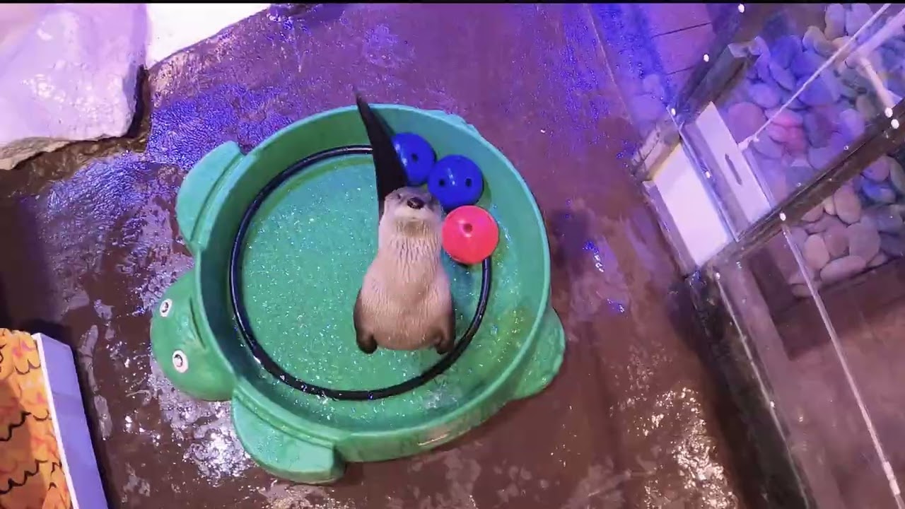 Hurricane Ian Ride-Out Crew Checking In - YouTube