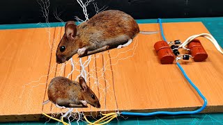 ساخت تله موش برقی