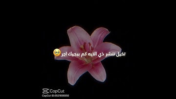 احترم القران الكريم #حطوا_لايك #اكسبلور #جيش_الاسااااطير #roblox #شلتنا