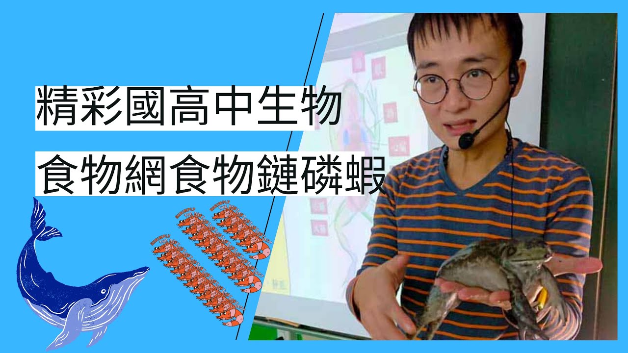 生態系 磷蝦食物鏈食物網 線上直播教學片段 Youtube