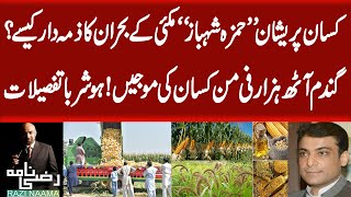 Hamza Shahbaz Role in the Corn Crisis? | Reality Behind the Wheat Crisis Revealed | Razi Naama