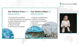 The State of Aquatic Animal Advocacy | Sophika, Andrés, Alex, Bruce | EA Global: London 22