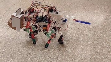 MEC101 Fall 2018 Robot Design Demo: Noteworthy Projects from Prof. Anurag Purwar