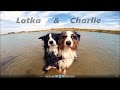 Charlie & Lotka on holiday