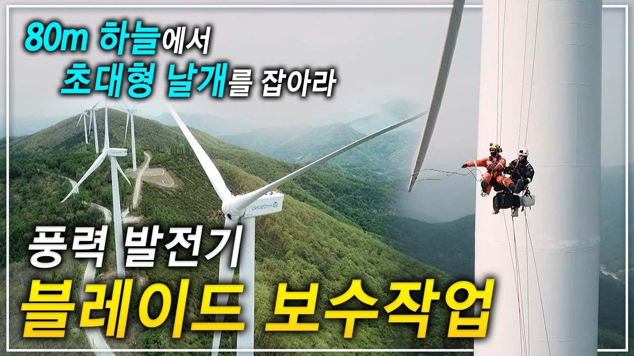 엄청난 크기와 속도! KTX만큼 빠르게 돌아가는 초대형 날개를 보수하기 위해 각 분야 로프 전문가가 모였다!ㅣ풍력 발전기 날개 보수반ㅣ극한직업│#골라듄다큐