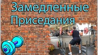 Медленные приседания со штангой | Видеоурок. Медленные приседания со штангой | Видеоурок.
