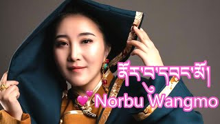 Video thumbnail of "New Tibetan Song last night by Norbu Wangmo མདང་ནུབ། ནོར་བུ་དབང་མོ།"