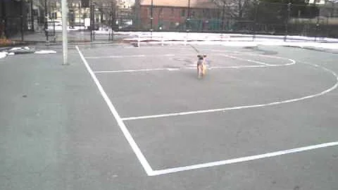 Maggie needs help with retrieval skills