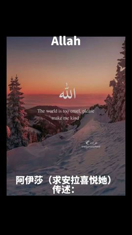 量力而行 #古兰经 #穆罕默德 #allah #islam #kuran #