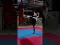Little sparks of motivation 🐕🐾✨Punches, kicks all the way 🤜🏻🤛🏻🥊💪🏻🔥