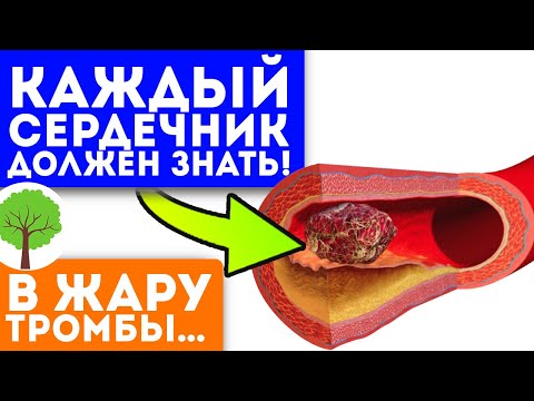 Видео: 10 удивительных преимуществ для здоровья Mace Spice (Javitri)