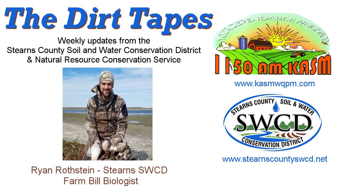 Dirt Tapes, (01/10/2020)