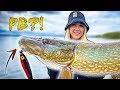 PIKE FISHING: Sara Catch New Personal Best (BIG PIKE) | Team Galant