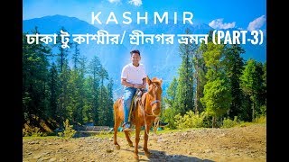 Kashmir Tour Permission I Dhaka to Kashmir/Srinagar Low cost Tour (Part -3)