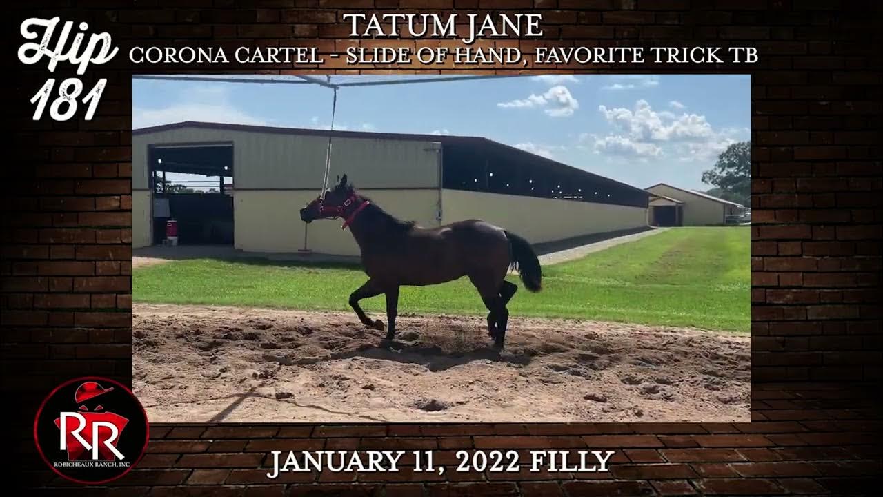 Ruidoso Select Yearling Hip 181 YouTube