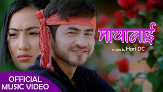 Mayalai मयलई By Hari Dc & Jeena Magar New Nepali Song 2077