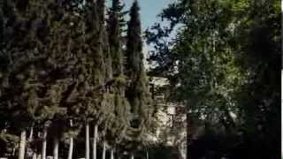 Το Δέντρο Και Η Kούνια - Movie Preview