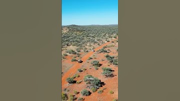 Earth AI uses artificial intelligence to accelerate the search for critical metals