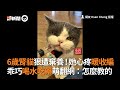 6歲腎貓狠遭棄養！她心疼暖收編...牠乖巧喝水吃藥｜淘太郎｜慢性腎臟病｜吃藥