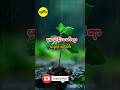 မပေါင်းဖော်ရာ သည်(၁၀)ပါး#trendingshorts #စာတို #စာအုပ်စာပေ #education #စာပေအနုပညာ #knowledge #views