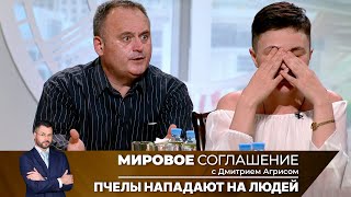 видео: Мировое соглашение. Эфир от 26 августа 2024 года картинка: Мировое соглашение. Эфир от 26 августа 2024 года