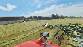 Planning To Make Hay Between TB Testing!