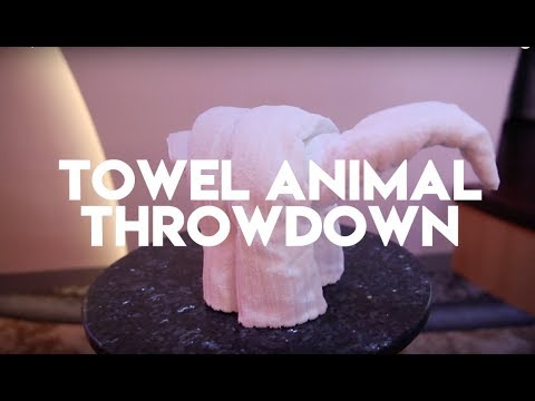 Disney Wonder | RACING BABIES & WE MADE DINOSAUR TOWEL ANIMALS!!!