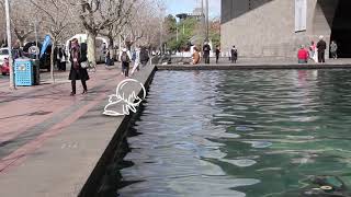 Sabrina Chan - 'Day Trip' A short animation