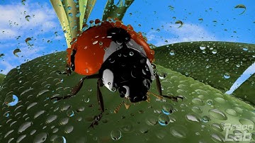 Ladybug Simulation in PreonLab 🐞